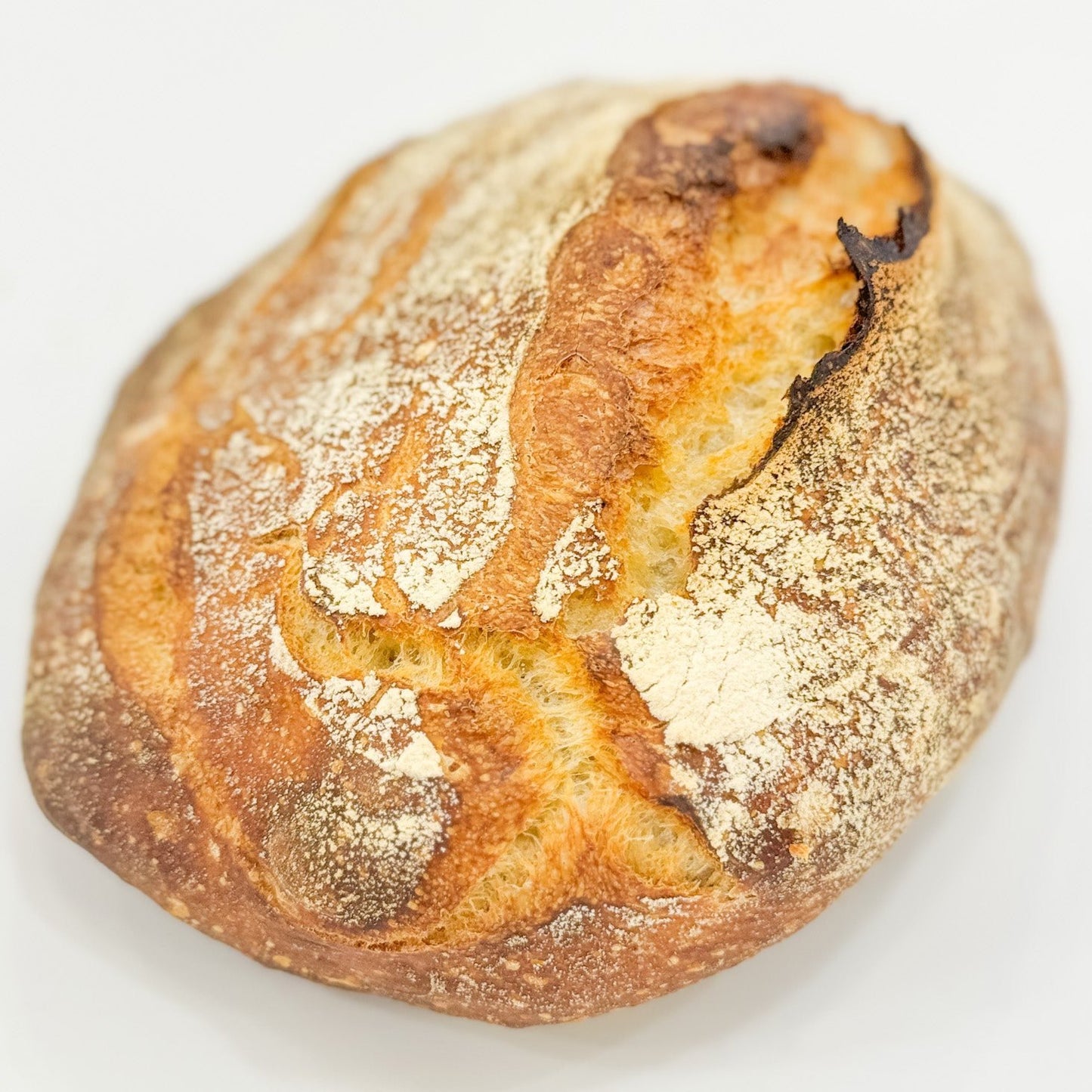 FRENCH COUNTRY BREAD (Sourdough)