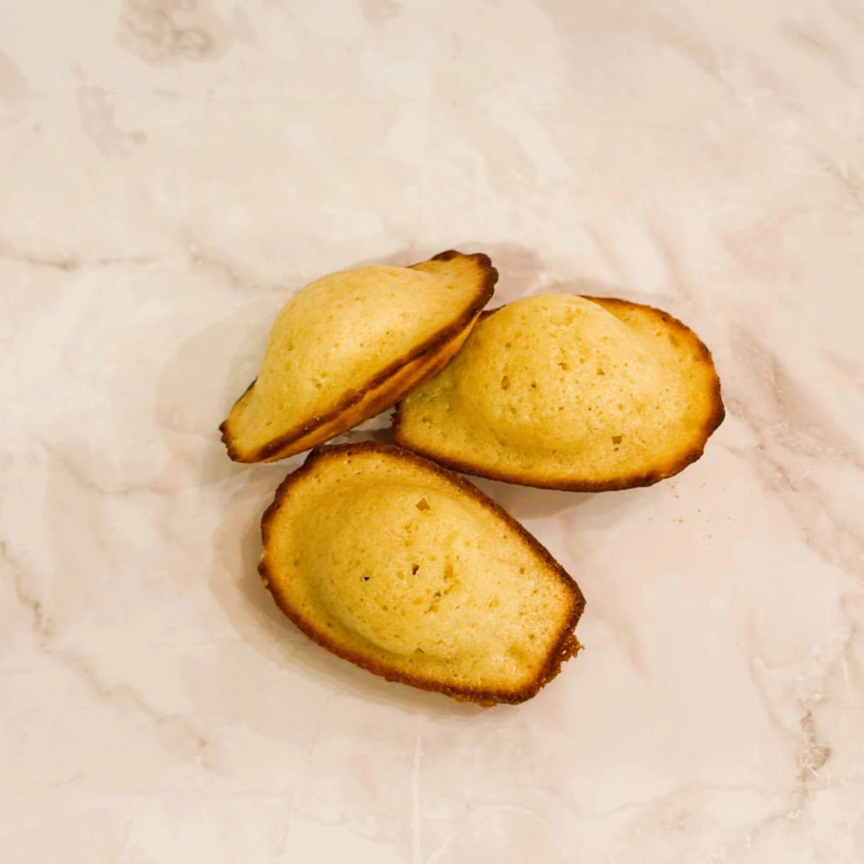 FRENCH MADELEINES (6)